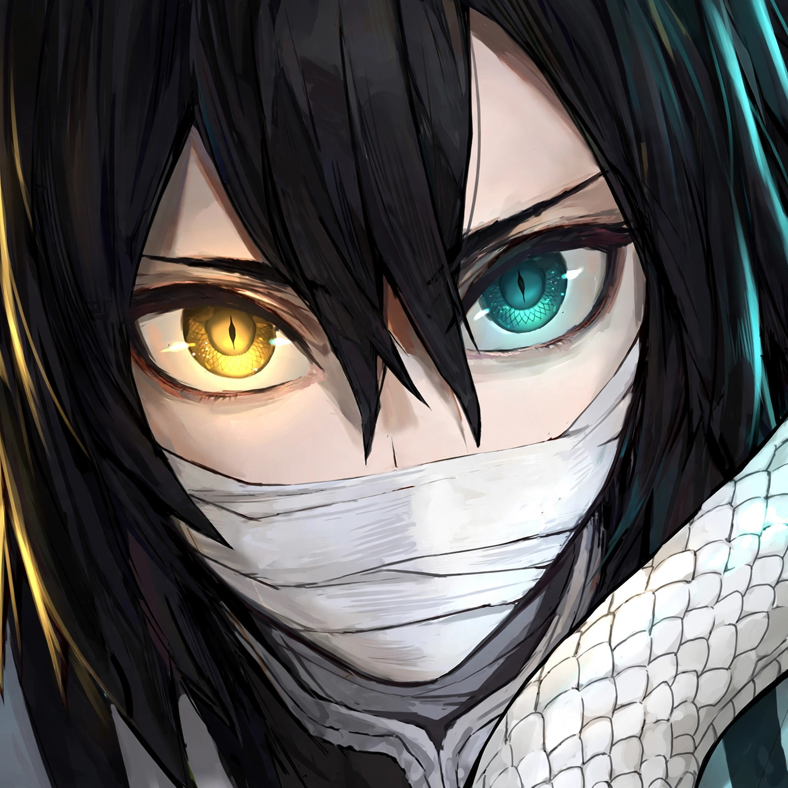 Obanai Heterochromia Eyes PFP