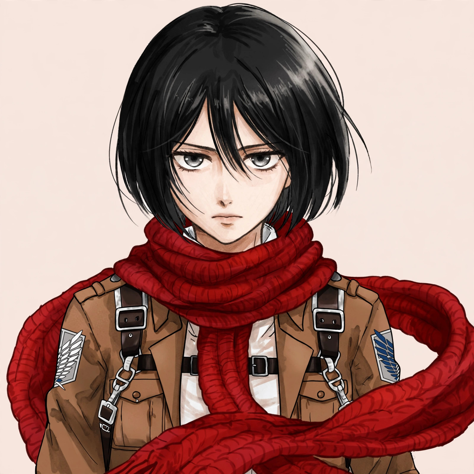 Mikasa Icon PFP